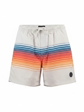 white Surf Mentality swim shorts feature a vibrant vertical stripe pattern XL.